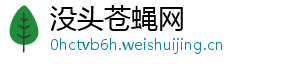 没头苍蝇网